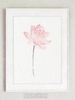 COLOR WATERCOLOR | Lotus Blush Pink Flower Art Print | A3 ȥץ/ݥξʲ