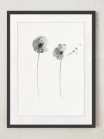 COLOR WATERCOLOR | Gray Dandelion Art Print | A3 ȥץ/ݥξʲ