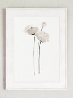 ڥͥݥ̵COLOR WATERCOLOR | White Poppy Art Print | A4 ȥץ/ݥξʲ