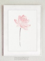 ڥͥݥ̵COLOR WATERCOLOR | Lotus Blush Pink Flower Art Print | A4 ȥץ/ݥξʲ