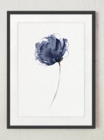 ڥͥݥ̵COLOR WATERCOLOR | Abstract Navy Flower Art Print | A4 ȥץ/ݥξʲ