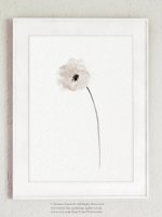 COLOR WATERCOLOR | Poppy Flower Art #4 | A3 ȥץ/ݥξʲ