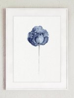 COLOR WATERCOLOR | Peony Watercolour Navy Flower #1 | A3 ȥץ/ݥξʲ
