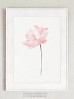 ڥͥݥ̵COLOR WATERCOLOR | Lotus Blush Pink Flower Art Print #2 | A4 ȥץ/ݥξʲ
