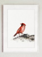 ڥͥݥ̵COLOR WATERCOLOR | Birds Art Print | A4 ȥץ/ݥξʲ