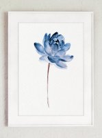 ڥͥݥ̵COLOR WATERCOLOR | Lotus Flower Art Print #2 | A4 ȥץ/ݥξʲ