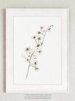 ڥͥݥ̵COLOR WATERCOLOR | Cherry Blossom White Art Print #1 | A4 ȥץ/ݥξʲ