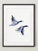 ڥͥݥ̵COLOR WATERCOLOR | Wild Duck Art Print | A4 ȥץ/ݥξʲ