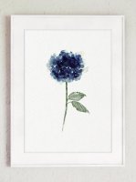 ڥͥݥ̵COLOR WATERCOLOR | Hydrangea Flowers Art Print #1 | A4 ȥץ/ݥξʲ