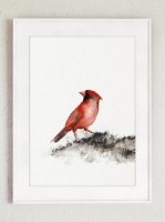 COLOR WATERCOLOR | Birds Art Print | A3 ȥץ/ݥξʲ