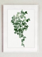 COLOR WATERCOLOR | Botanical Art Print #2 | A3 ȥץ/ݥξʲ