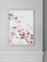 NOUROM | SAKURA #3 | ȥץ/ݥ (50x70cm)ξʲ