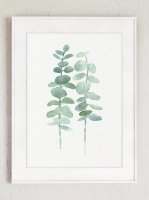COLOR WATERCOLOR | Eucalyptus Canvas Fine Art Print #1 | A3 ȥץ/ݥξʲ
