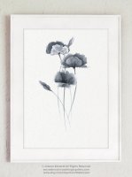 COLOR WATERCOLOR | Blossom Flower Art Print | A3 ȥץ/ݥξʲ