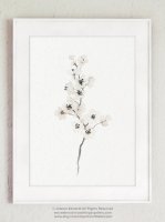 ڥͥݥ̵COLOR WATERCOLOR | Cherry Blossom White Art Print #2 | A4 ȥץ/ݥξʲ