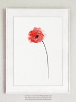 COLOR WATERCOLOR | Red Poppy Flower Art #1 | A3 ȥץ/ݥξʲ