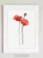 COLOR WATERCOLOR | Red Poppy Flower Art #3 | A3 ȥץ/ݥξʲ