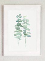 ڥͥݥ̵COLOR WATERCOLOR | Eucalyptus Canvas Fine Art Print #1 | A4 ȥץ/ݥξʲ