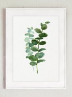 ڥͥݥ̵COLOR WATERCOLOR | Eucalyptus Canvas Fine Art Print #3 | A4 ȥץ/ݥξʲ