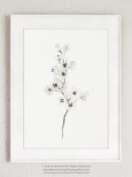 COLOR WATERCOLOR | Cherry Blossom White Art Print #2 | A3 ȥץ/ݥξʲ