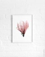 dear musketeer | MAGNOLIA PAINTED ABSTRACT PRINT | A3 ȥץ/ݥ ξʲ