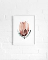dear musketeer | PROTEA PAINTED ABSTRACT PRINT | A3 ȥץ/ݥ ξʲ