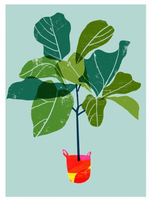 ANEK | Fiddle Leaf Fig Tree (green) Art Poster | アートプリント