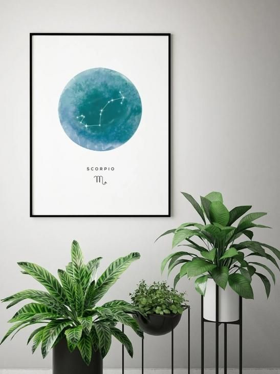 PROJECT NORD | SCORPIO WATERCOLOUR 蠍座 | A3 アートプリント