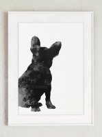 ڥͥݥ̵COLOR WATERCOLOR | French Bulldog | A4 ȥץ/ݥ̲ ץ Υۤξʲ