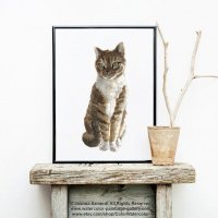 ڥͥݥ̵COLOR WATERCOLOR | Tabby Domestic Cat Print | A4 ȥץ/ݥξʲ