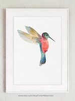 ڥͥݥ̵COLOR WATERCOLOR | Hummingbird Painting | A4 ȥץ/ݥ̲ ץ  Ļۤξʲ
