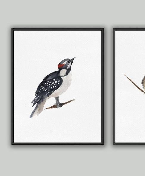 ネコポス送料無料 Color Watercolor Woodpecker Art Print アートプリント ポスター 北欧 シンプル おしゃれ 鳥 Hafen ハーフェン 北欧 ヨーロッパの雑貨 ポスターを扱う通販ショップ