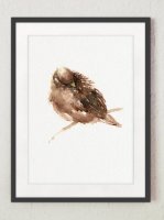 ڥͥݥ̵COLOR WATERCOLOR | Brown Bird Giclee art print #1 | A4 ȥץ/ݥ̲ ץ  Ļۤξʲ