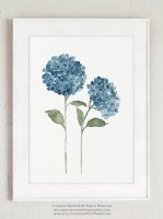 ڥͥݥ̵COLOR WATERCOLOR | Hydrangea Flowers Art Print #3 | A4 ȥץ/ݥξʲ