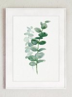 ڥͥݥ̵COLOR WATERCOLOR | Eucalyptus Canvas Fine Art Print #2 | A4 ȥץ/ݥξʲ