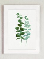 ڥͥݥ̵COLOR WATERCOLOR | Eucalyptus Canvas Fine Art Print #4 | A4 ȥץ/ݥξʲ