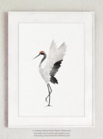 COLOR WATERCOLOR | Crane Birds #1 | A3 ȥץ/ݥ̲  ƥꥢ ӥ 襤 Ļۤξʲ