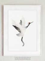 COLOR WATERCOLOR | Crane Birds #3 | A3 ȥץ/ݥ̲  ƥꥢ ӥ 襤 Ļۤξʲ