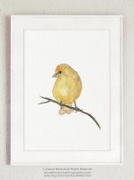COLOR WATERCOLOR | Finch Beige Yellow Bird | A3 ȥץ/ݥ̲  ƥꥢ ӥ 襤 Ļۤξʲ