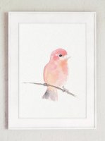 COLOR WATERCOLOR | Purple Finch North American Bird #1 | A3 ȥץ/ݥ̲  ƥꥢ ӥ 襤 Ļۤξʲ