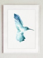 COLOR WATERCOLOR | Hummingbird #1 | A3 アートプリント/ポスター【北欧 雑貨 インテリア リビング かわいい 鳥】の商品画像