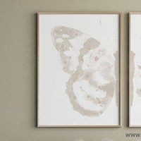 COLOR WATERCOLOR | Butterfly Ornament #1 | A3 ȥץ/ݥ̲  ƥꥢ ӥ 襤 ĳۤξʲ
