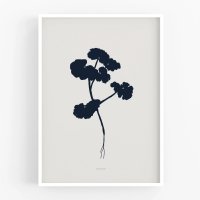 MICUSH | BOTANICAL SILHOUETTE - PELARGONIUM PLANT ART PRINT (AP144) | ȥץ/ݥ (30x40cm)ξʲ