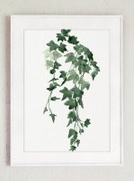 COLOR WATERCOLOR | Botanical Art Print #1 | A2 アートプリント/アートポスターの商品画像
