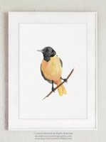 COLOR WATERCOLOR | Orange Bird | A3 アートプリント/ポスター【北欧 シンプル おしゃれ 鳥】の商品画像