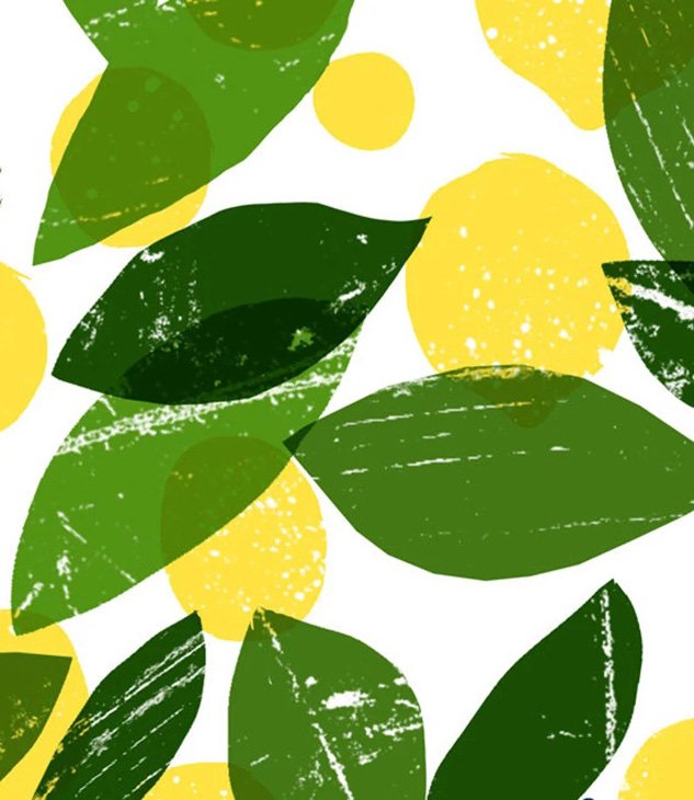 ANEK | Meyer Lemon Tree Citrus Poster (white) | アートプリント