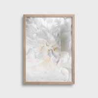 NOUROM | WHITE FLOWER | ȥץ/ݥ (50x70cm) ̲ ߥ˥ޥ ƥꥢ ξʲ