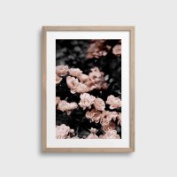 NOUROM | ROSE BUSH #1 | アートプリント/ポスター (50x70cm) 北欧 ミニマル インテリア おしゃれの商品画像