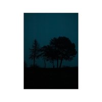 COMMON WERKS | Le nuit Bleu | ȥץ/ݥ (50x70cm) | ̲ ǥޡ եȥ ̿  ƥꥢ ξʲ