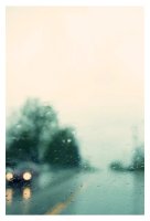 ALICIA BOCK PHOTOGRAPHY | MAY RAIN #1 | եȥե/ȥݥξʲ
